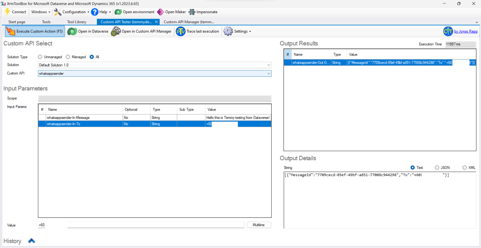 Custom API Tester result